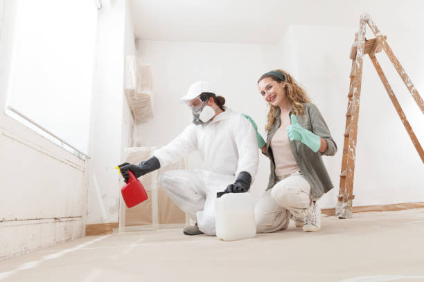 Mold Removal for HVAC Installations in Lincoln, NE